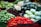 A vibrant display of fresh fruits and vegetables.