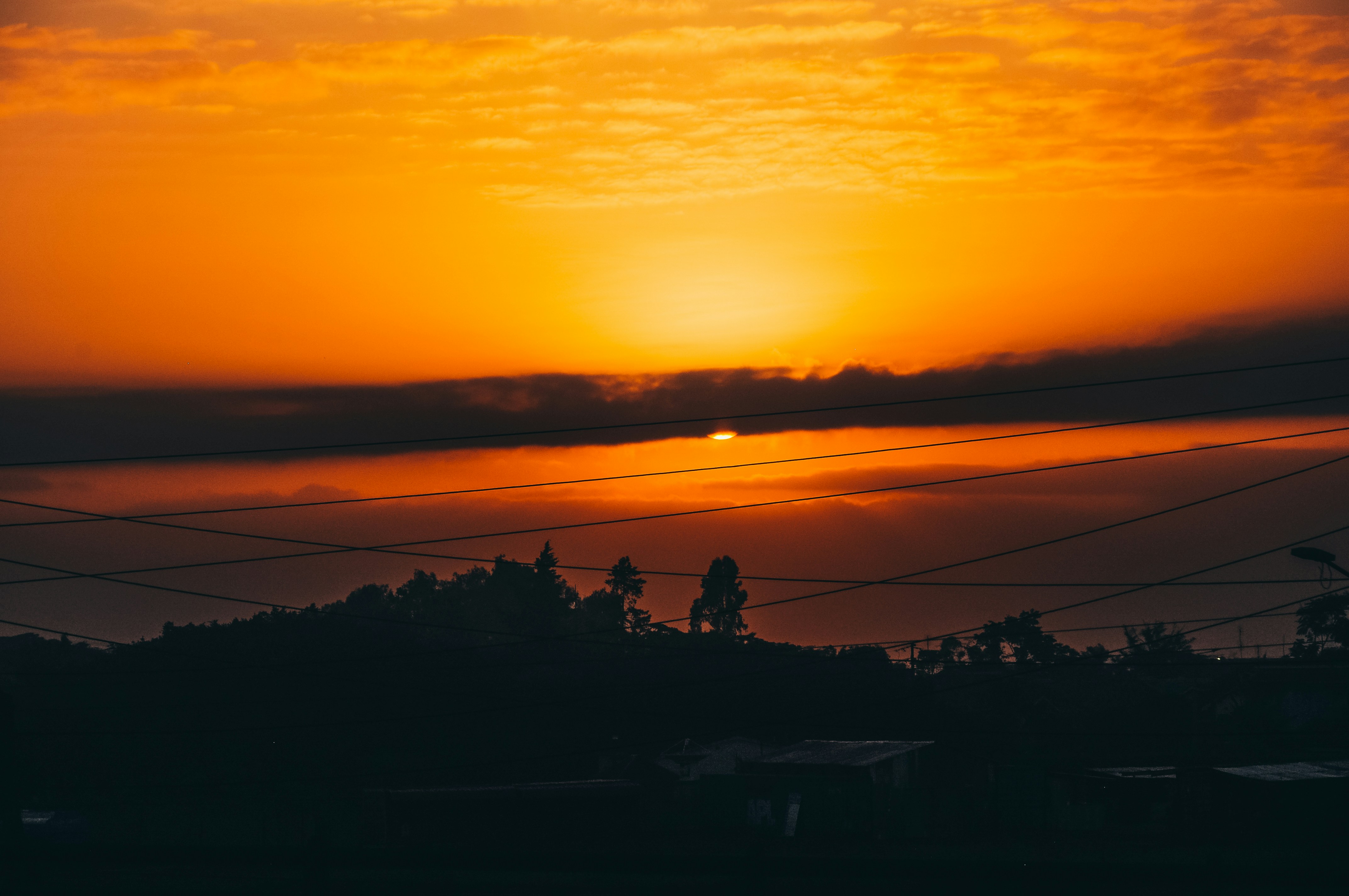 photo-1545898216-b62a3fa9e4ed?ixlib=rb-1.2.1&ixid=eyJhcHBfaWQiOjEyMDd9&auto=format&fit=crop&w=1506&q=80