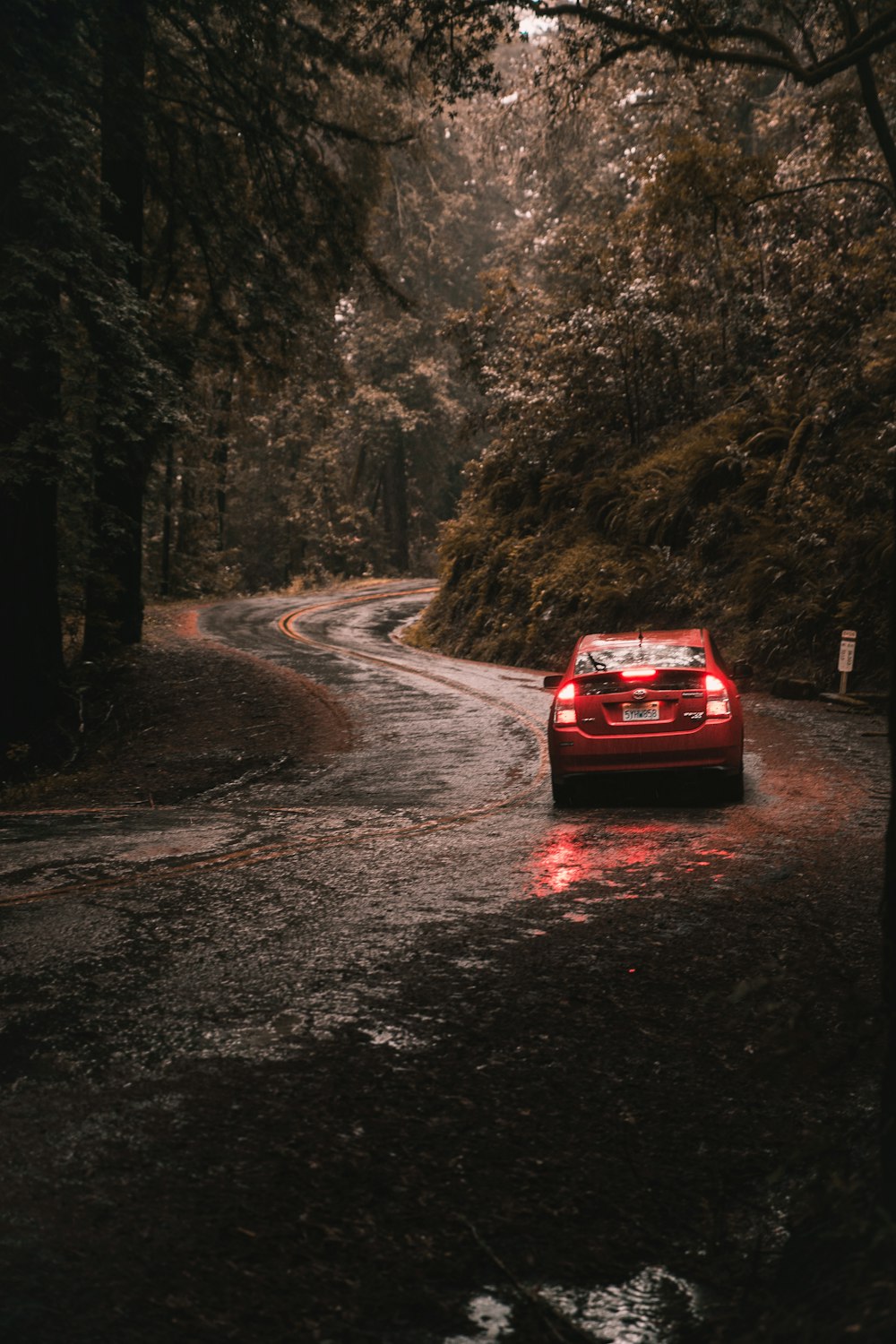 red vehicle at road under brown trees