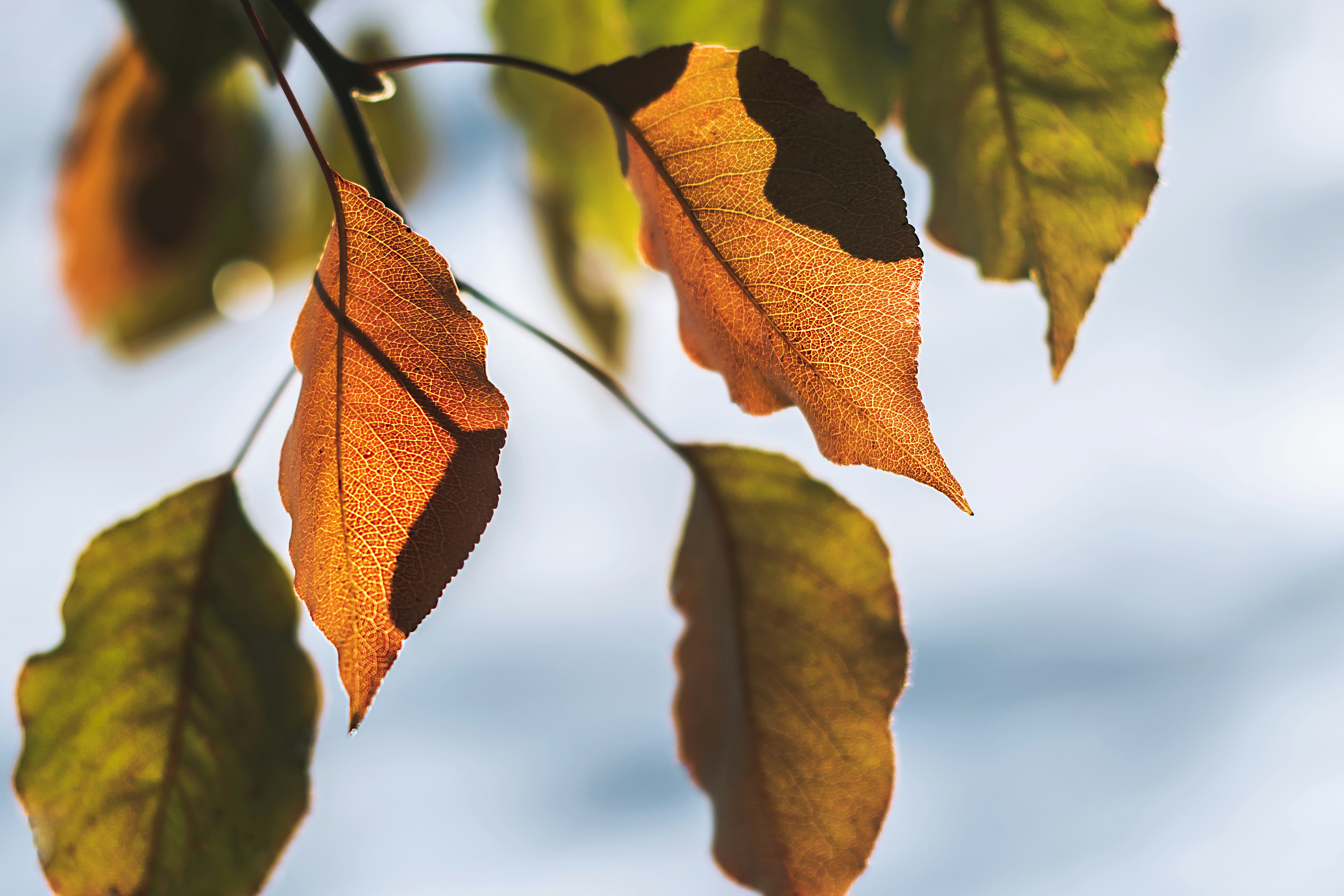 Photo by timmossholder