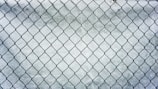metal chain-link fence