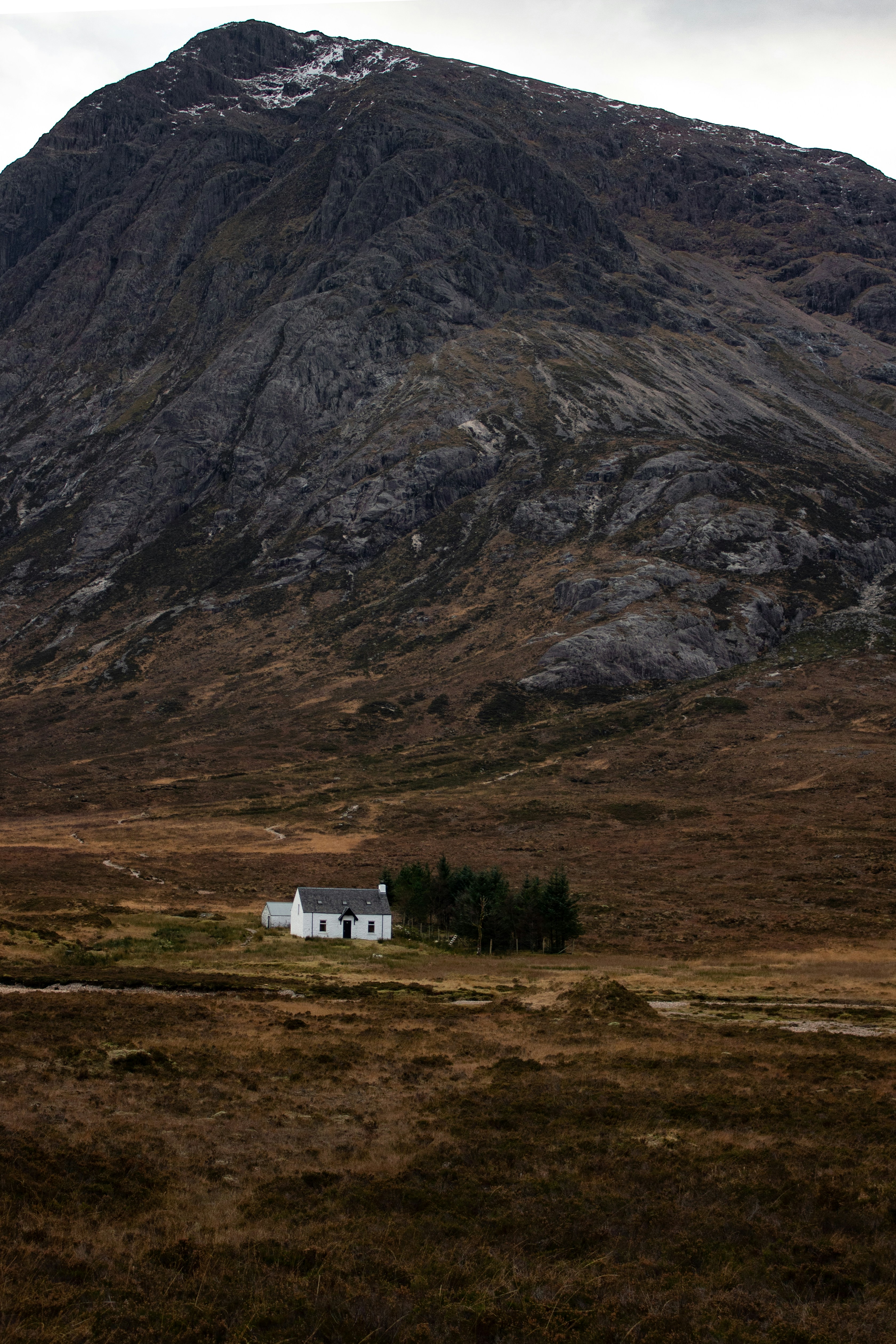 Photo by paularussell