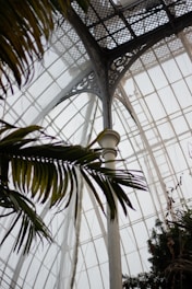 An elegant greenhouse interior with intricate metal framework and large glass panels creating a bright, open atmosphere. Lush green foliage partially covers the view, adding a natural contrast to the industrial structure.