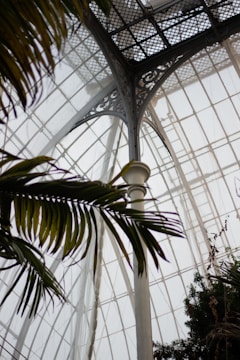 An elegant greenhouse interior with intricate metal framework and large glass panels creating a bright, open atmosphere. Lush green foliage partially covers the view, adding a natural contrast to the industrial structure.