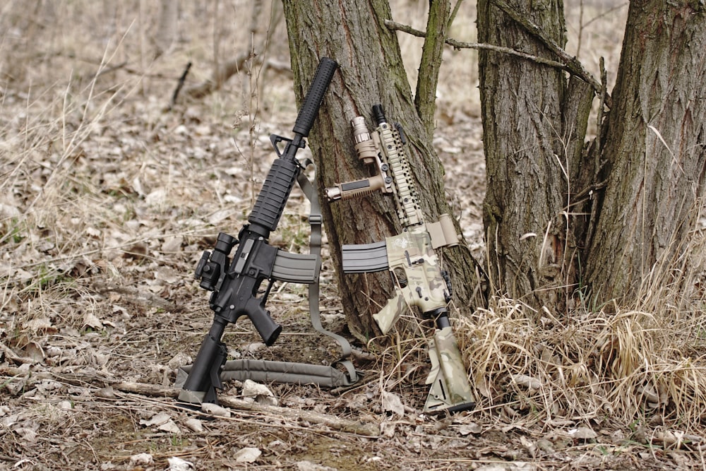 two rifled leaned on tree trunk