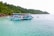 A large blue and white boat filled with numerous people floats on calm turquoise waters, with a lush green forested island as the backdrop. Several people are swimming around the boat, enjoying the clear water. A smaller boat can be seen in the background.