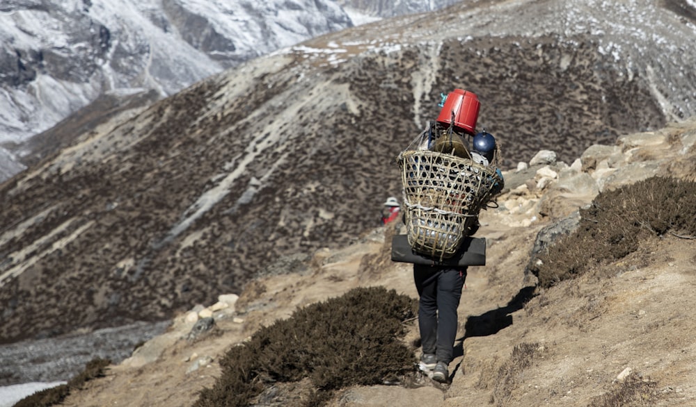 person walking on mountain carrying basket