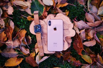 A smartphone and a smartwatch are displayed on a wooden stand amidst autumn leaves on grass. The arrangement highlights the contrast between the sleek technology and the natural, earthy surroundings.