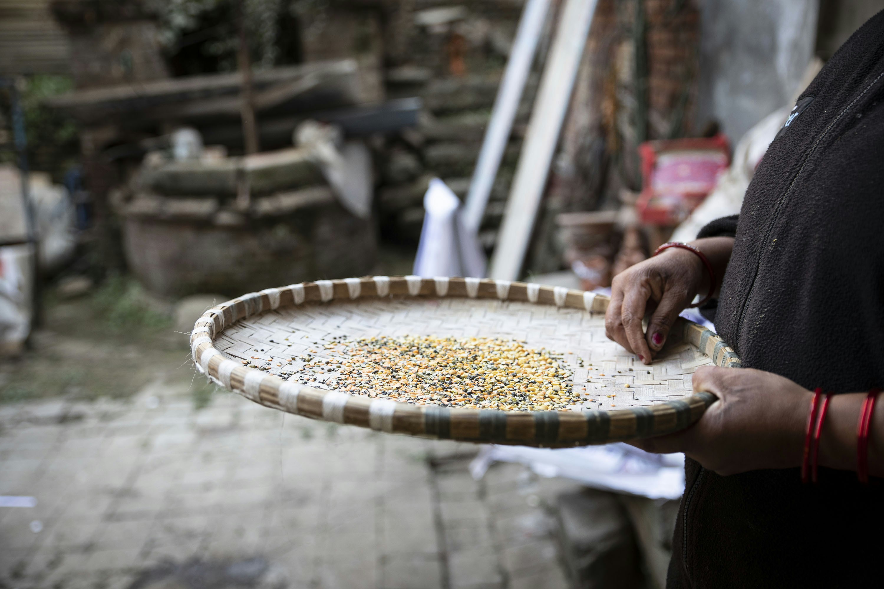 brown tray, A woman sorts dirt and dust from her batch of seeds.</p><p>www.littleleafcreative.com
