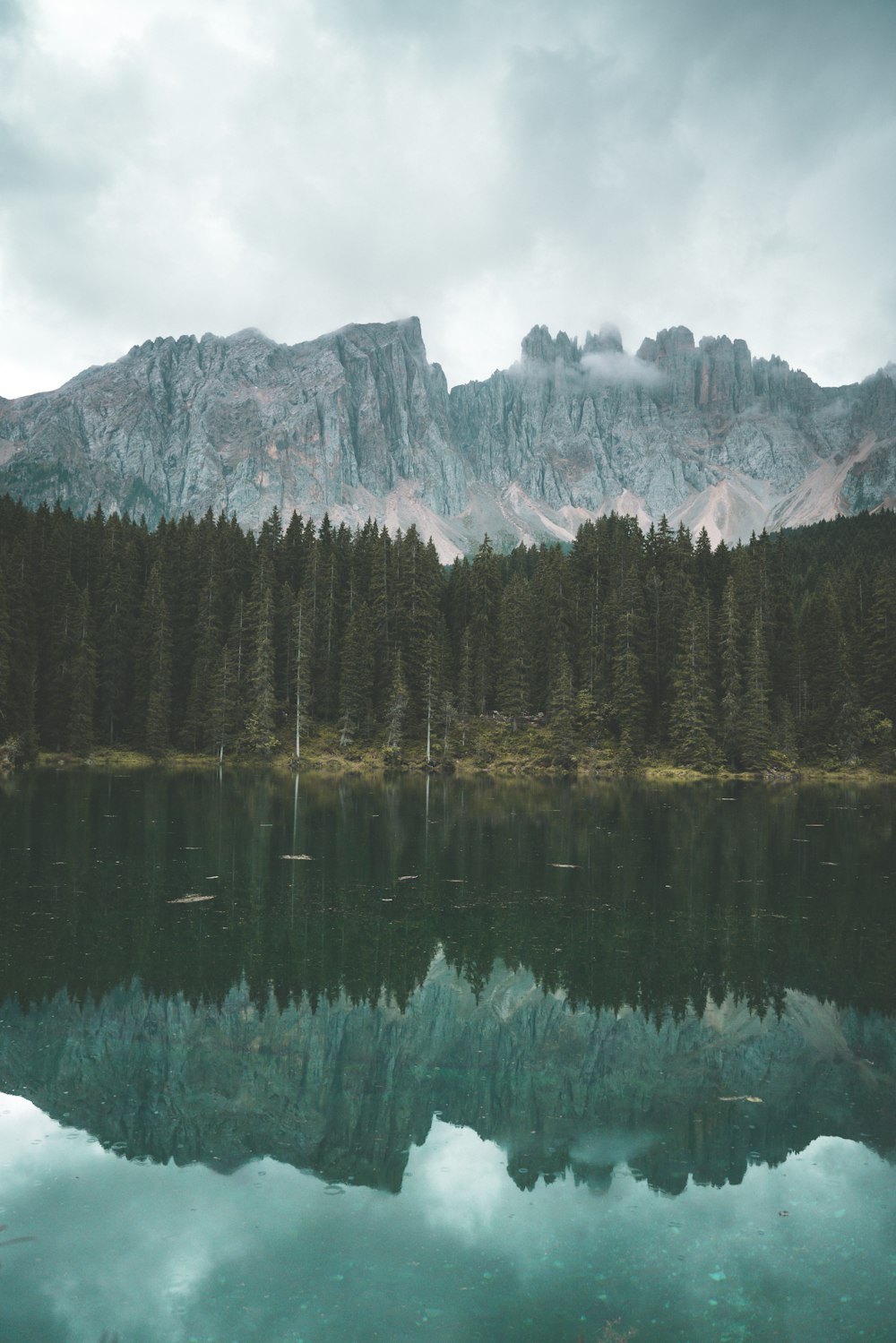 trees reflecting on body of water near mountains