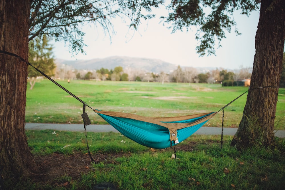 person sleeping on blue hammock