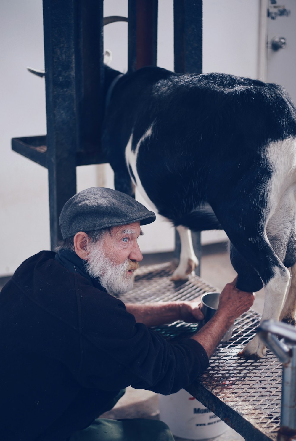 man holding goat