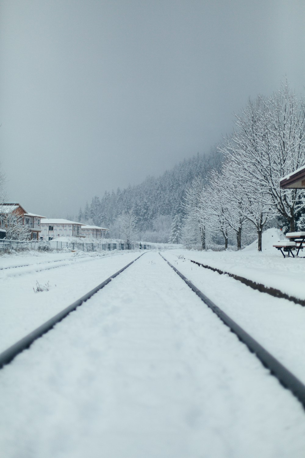 snow covered road during daytime