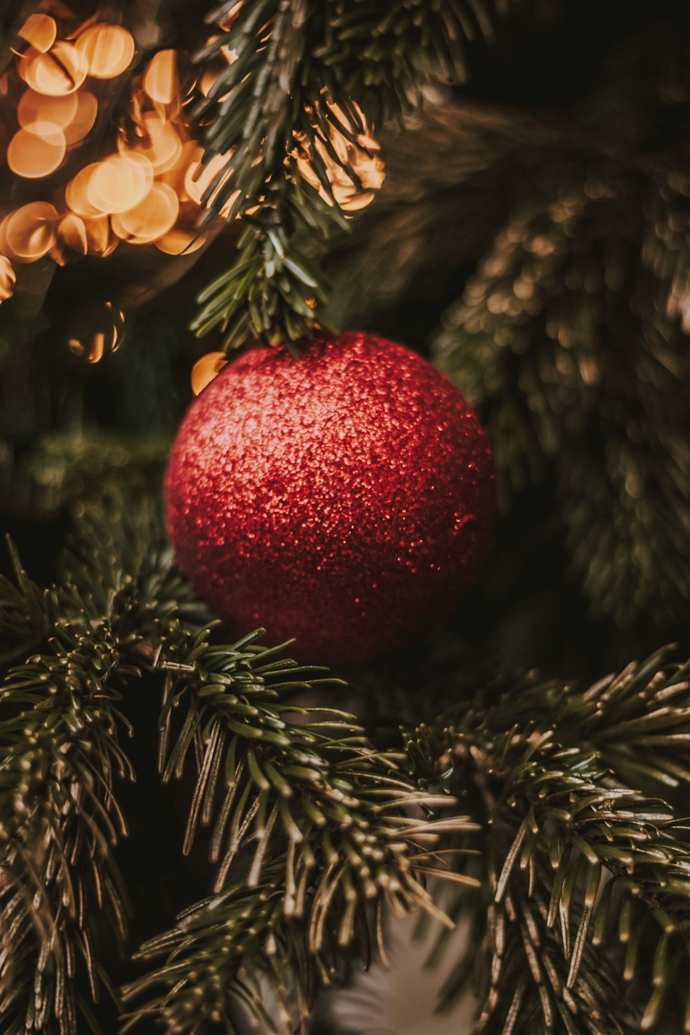 close-up photography of red baubles on christmas tree