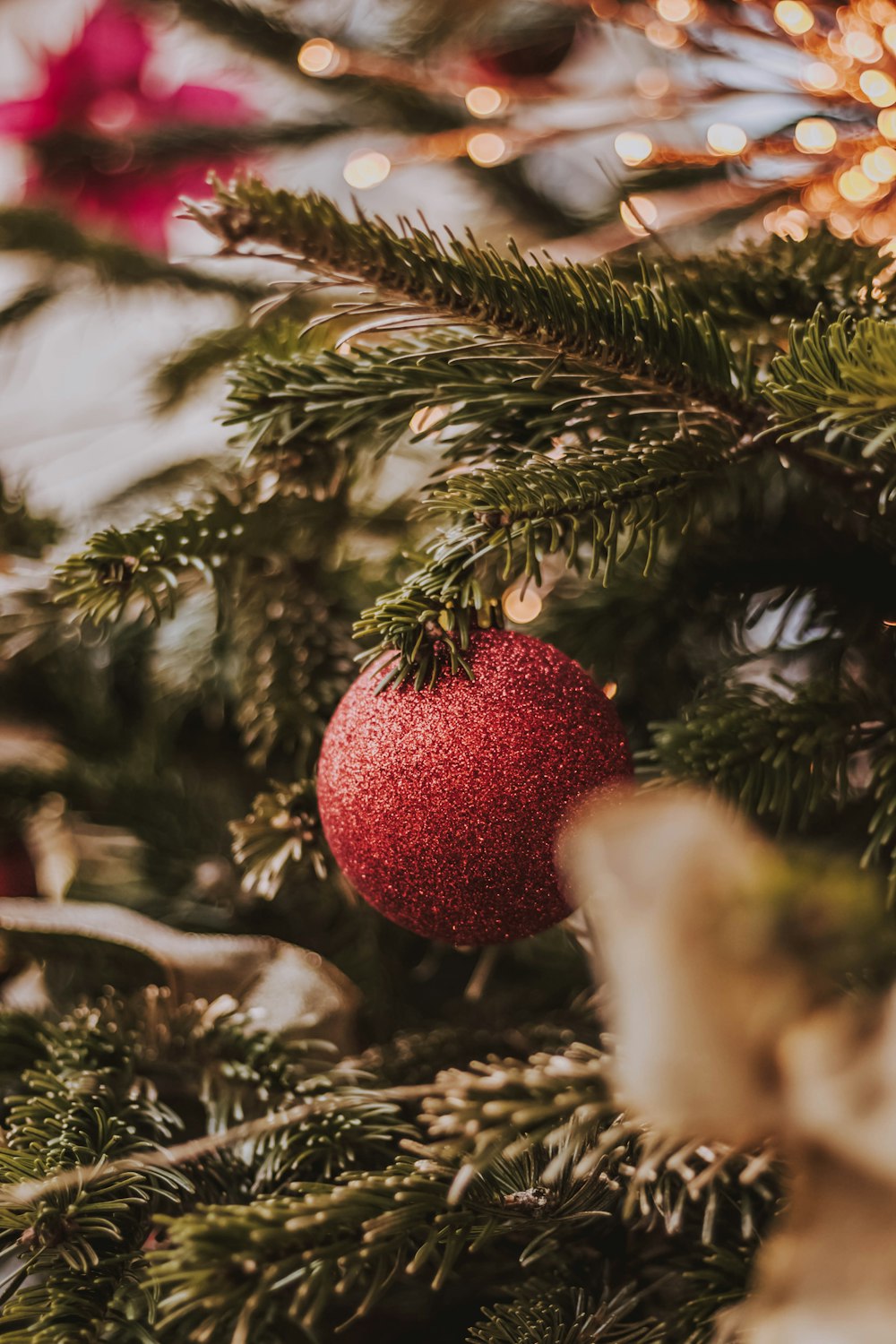 selective focus photography of red bauble