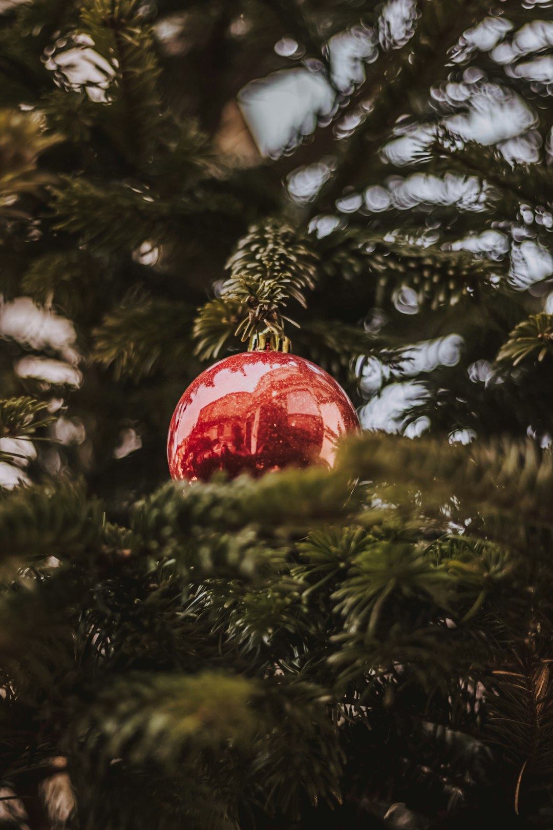 red bauble decor hanging on tree