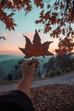 A person holds up a maple leaf against a background of a serene outdoor setting with a path. There are trees with autumn leaves and a soft, colorful sunset or sunrise sky.