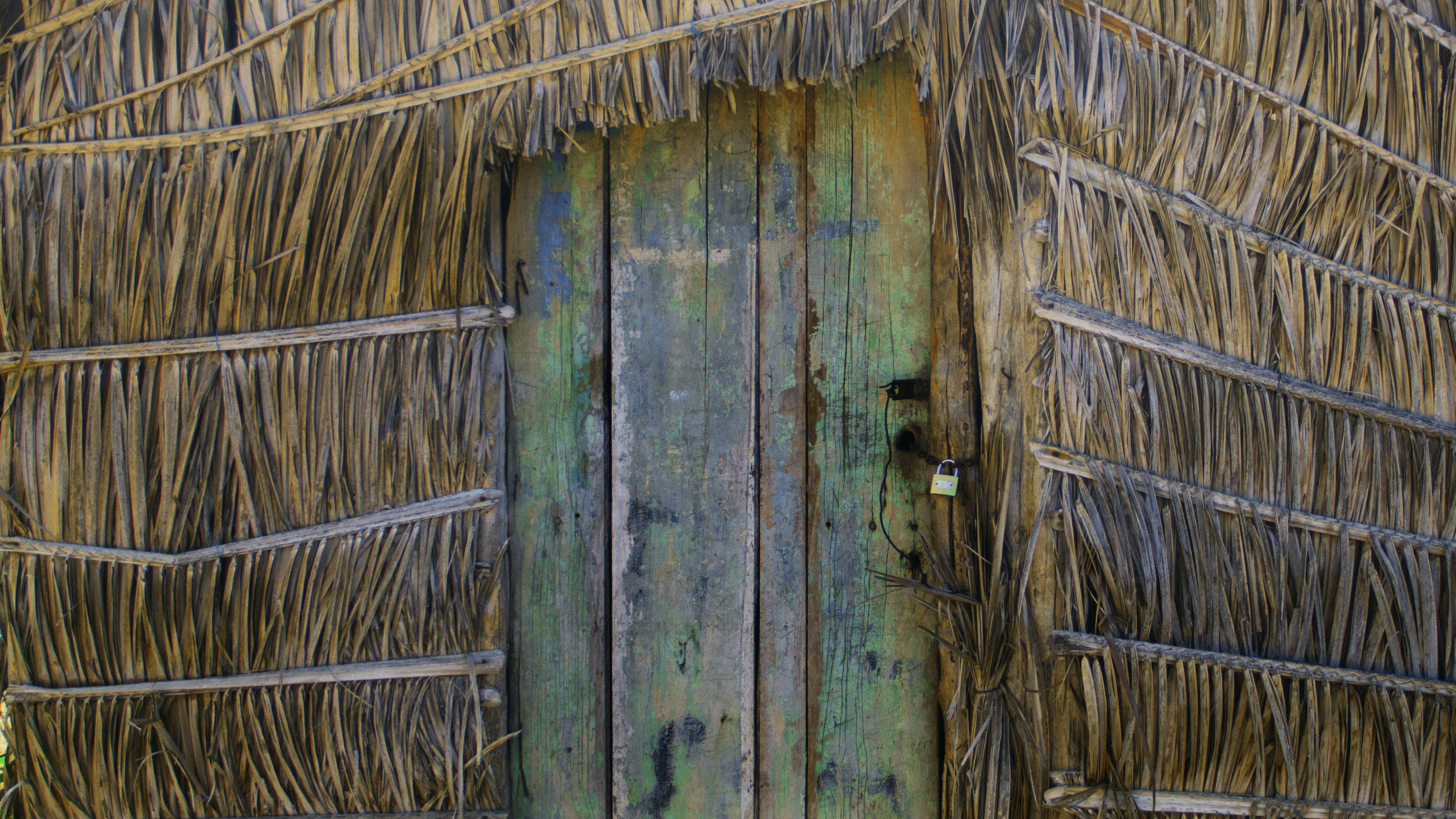 Photo by friedrich_santana