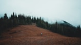 A traveler hiking through the misty trails of Mount Bromo at dawn.