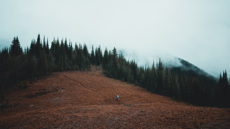 A traveler hiking through the misty trails of Mount Bromo at dawn.