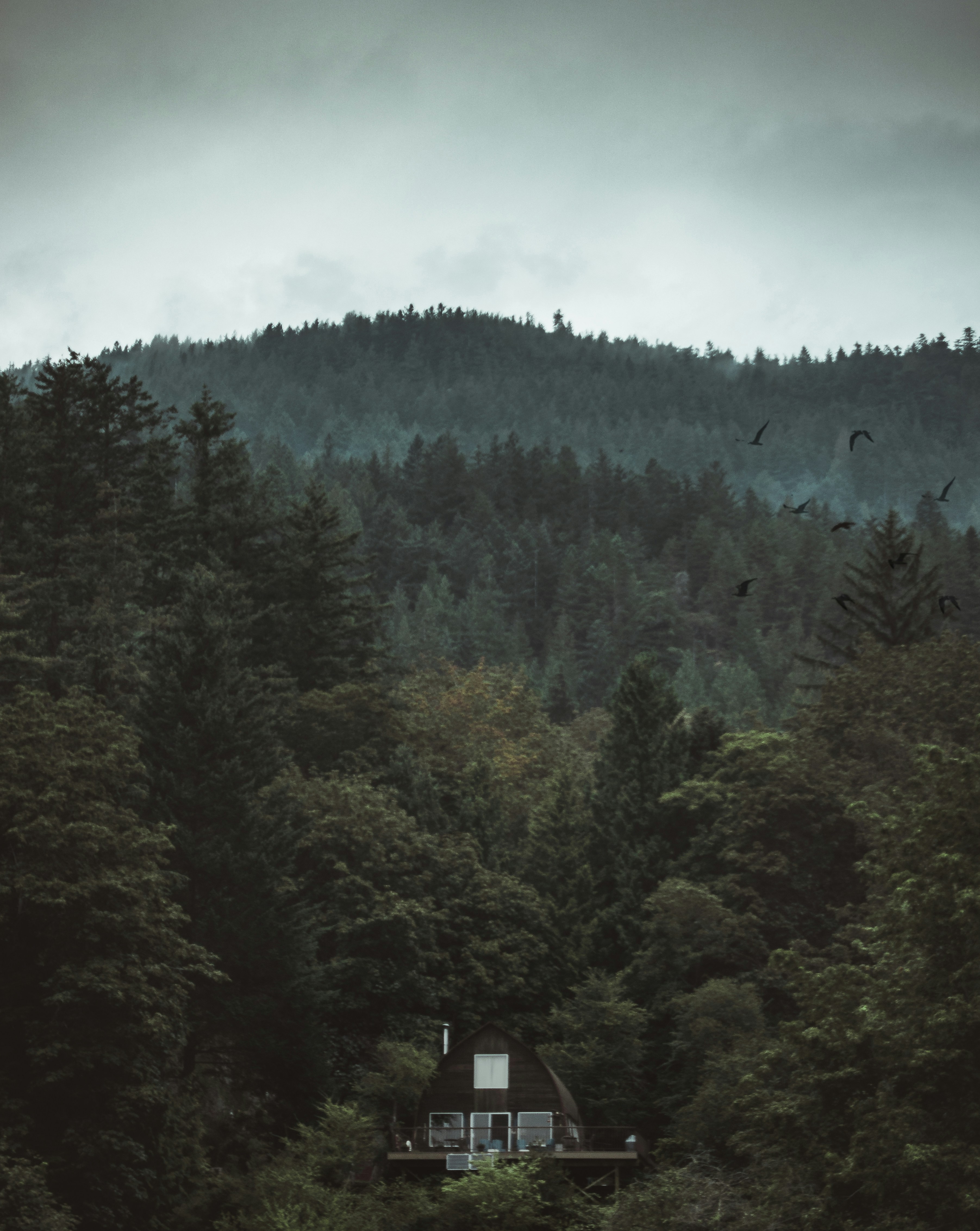 Photo by fathomfilms