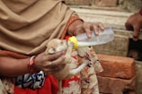 A small puppy is being bottle-fed by a person wearing a floral-patterned garment and some red bangles on their wrist. The setting appears to be outdoors with bricks in the background.