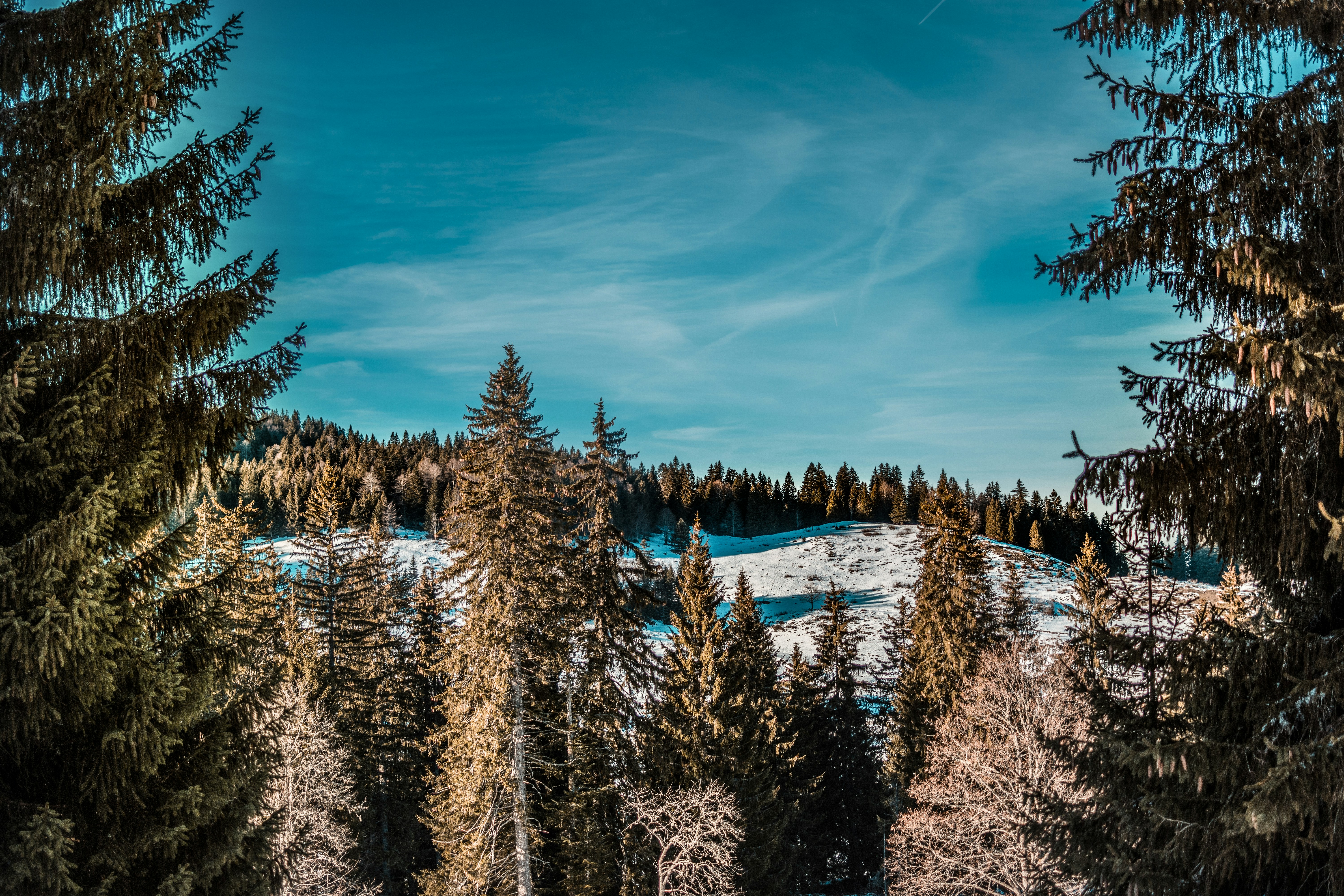 Photo by aurelienducret