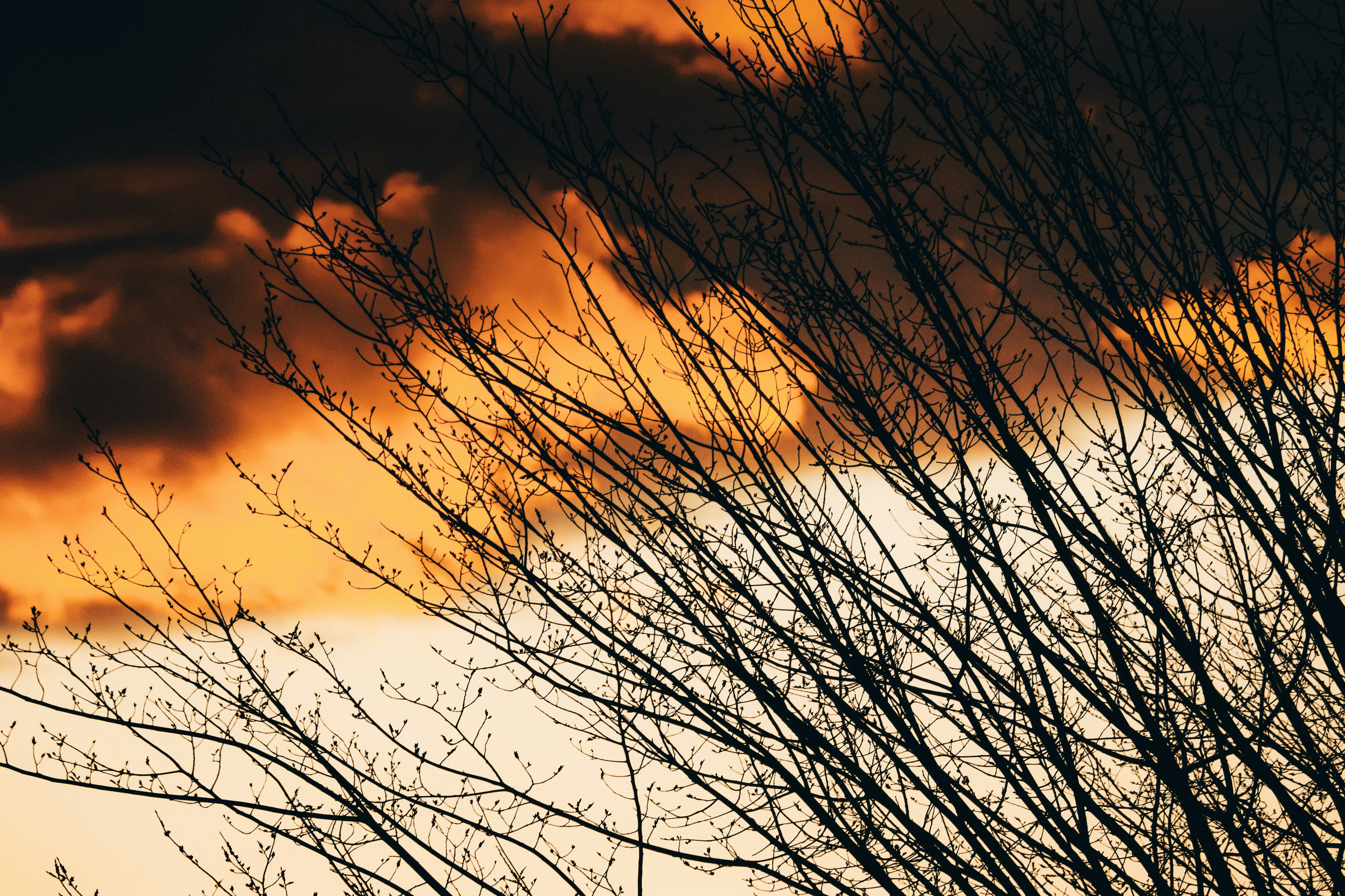 Photo by sonderbridgephotography