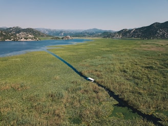 high-angle photography of green field