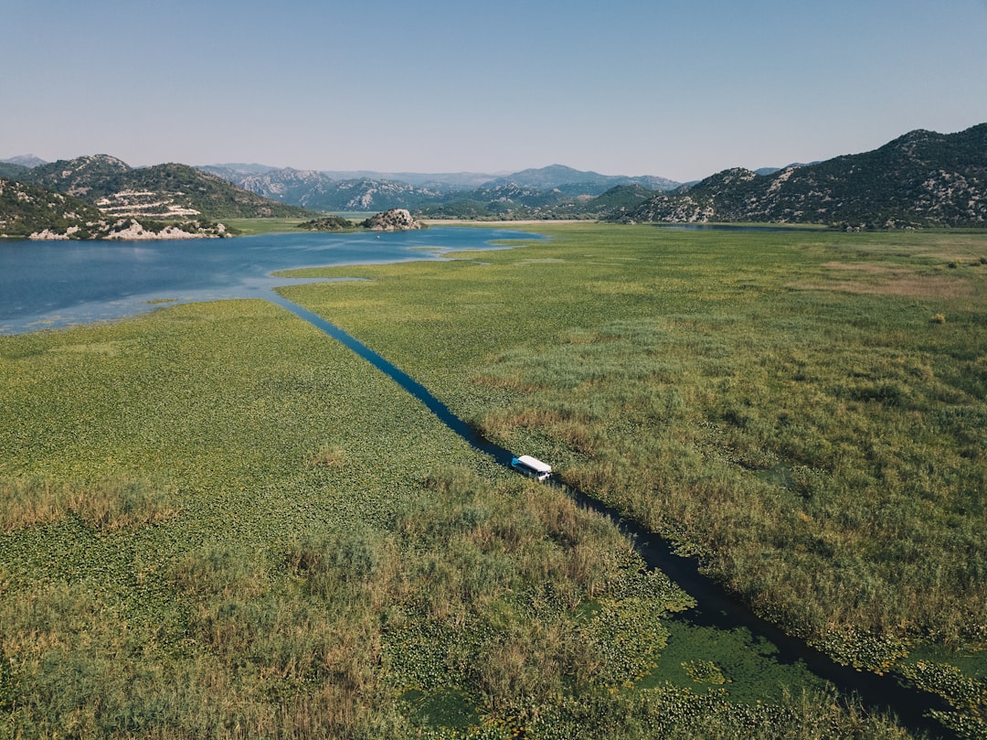 high-angle photography of green field