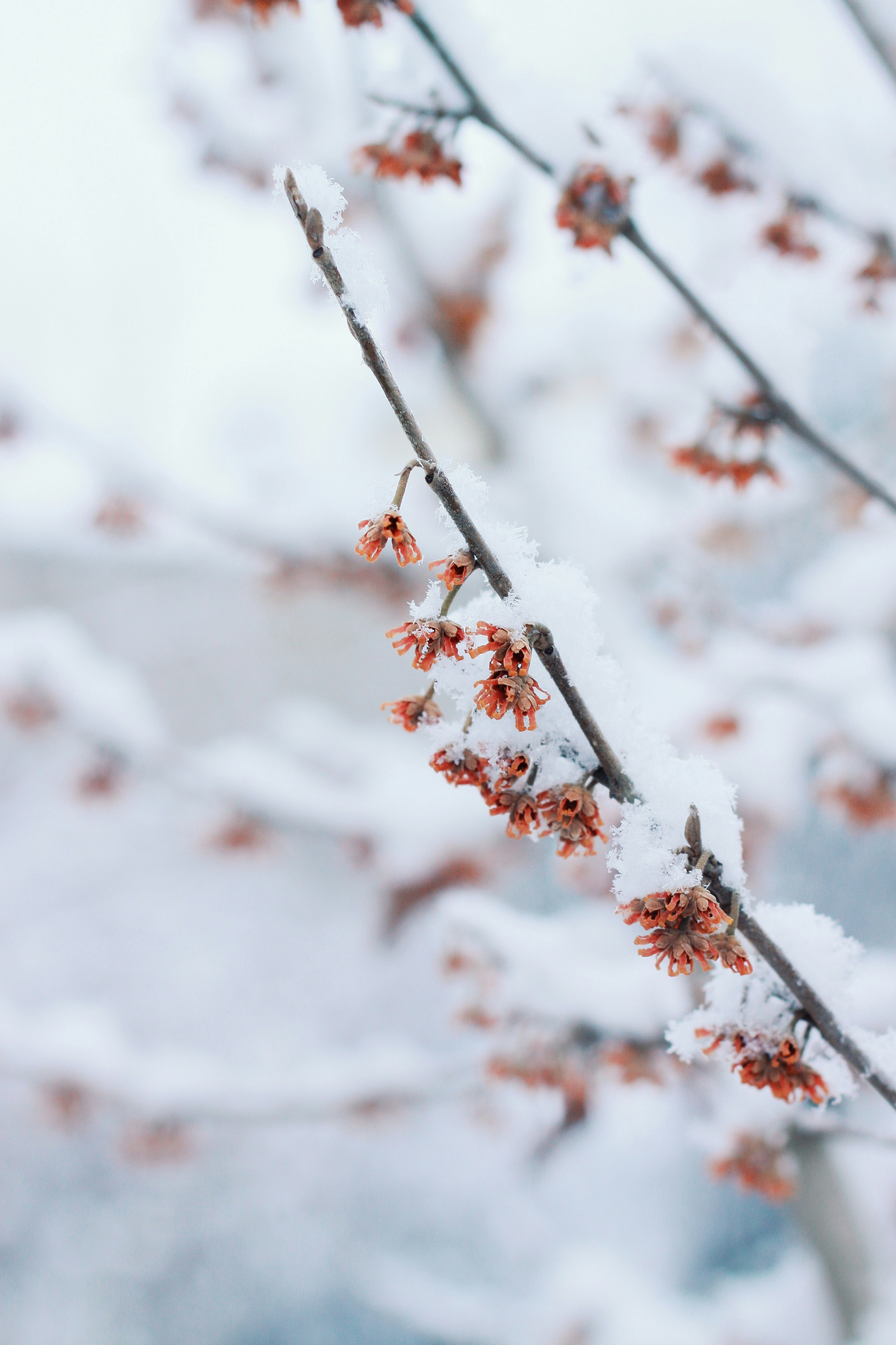 Photo by namefalkenau