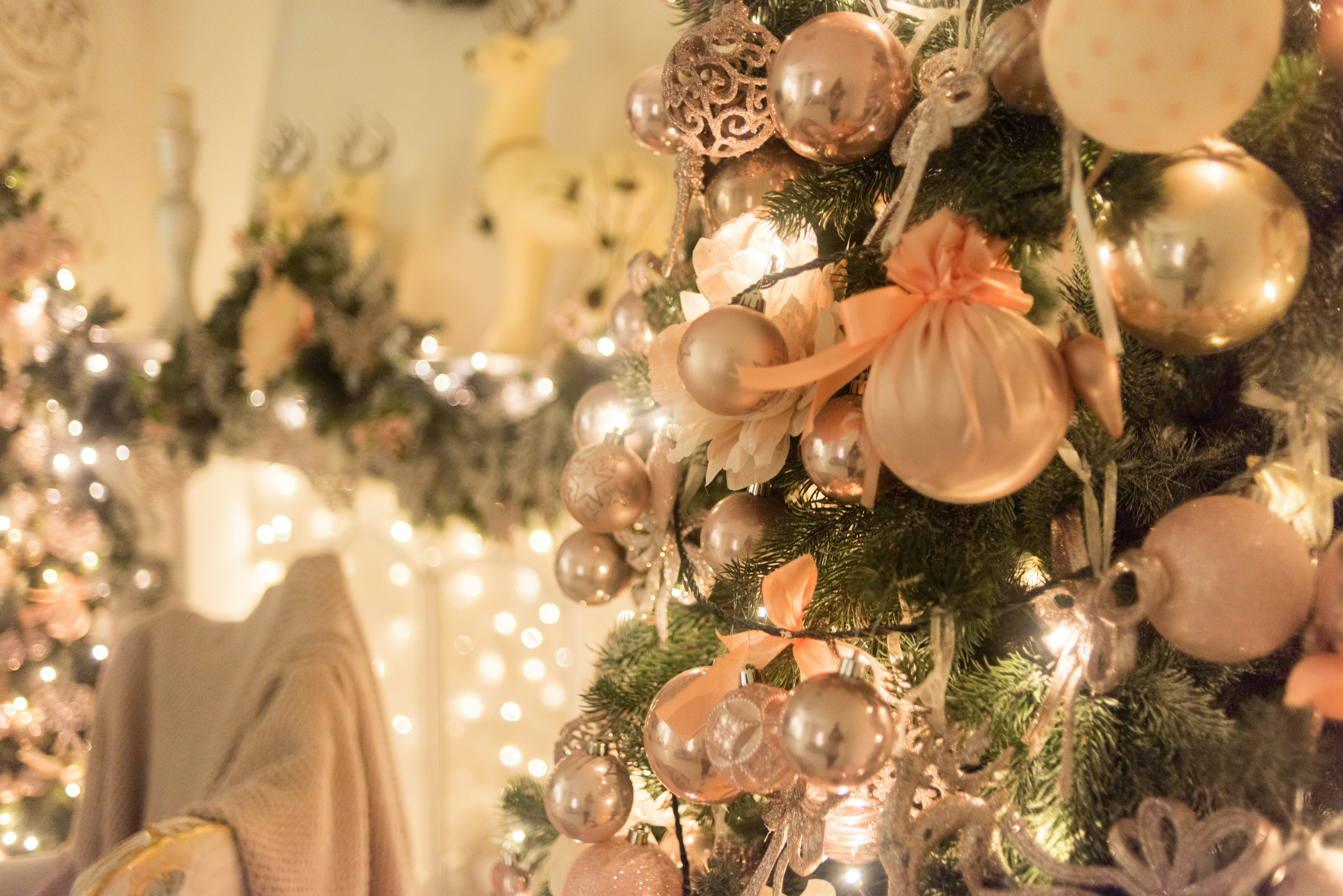 Photo by eugenivy_now