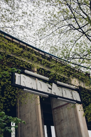 A slightly weathered sign with the word 'TRÄDGÅRDEN' is attached to a building structure. Surrounding the sign are branches of a tree with young green leaves, suggesting a spring or early summer setting. The building is concrete and industrial in appearance, contrasting with the natural greenery.