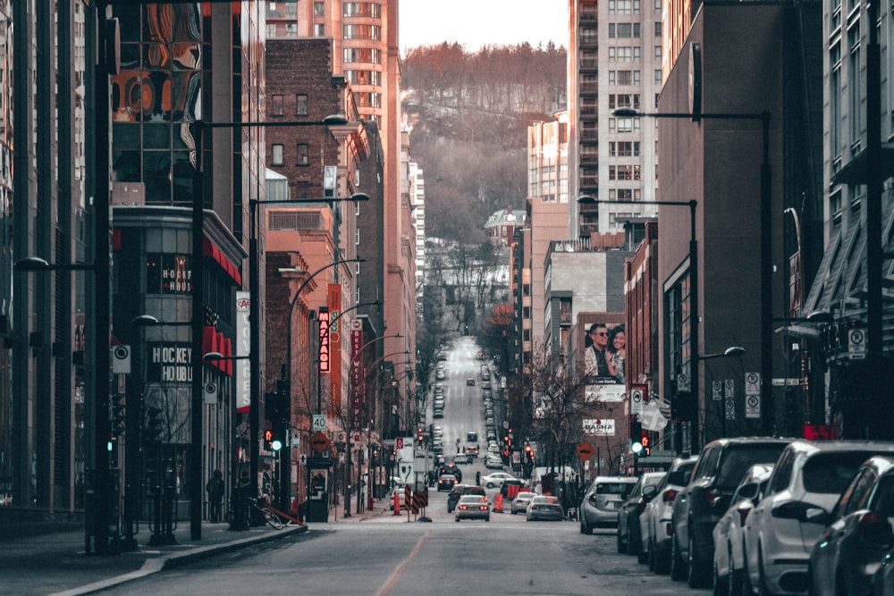 cars on street near high rise buildings