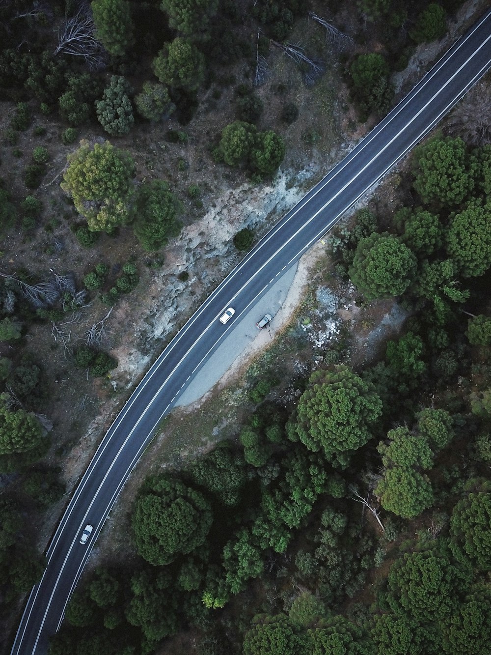 cars on road