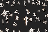 white text on black background