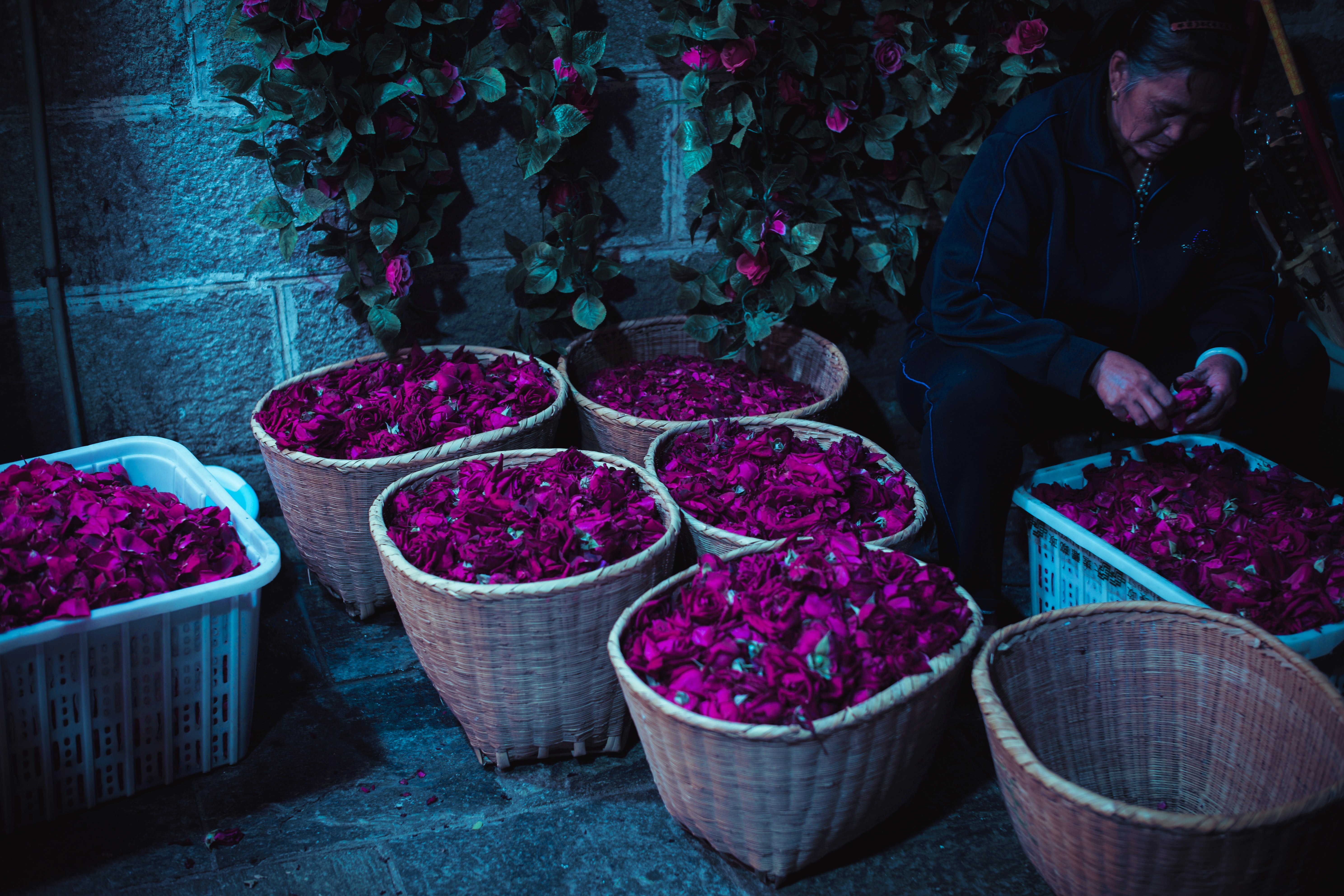 purple flowers in baskets