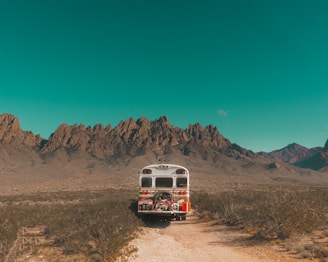 white and red bus near mountain