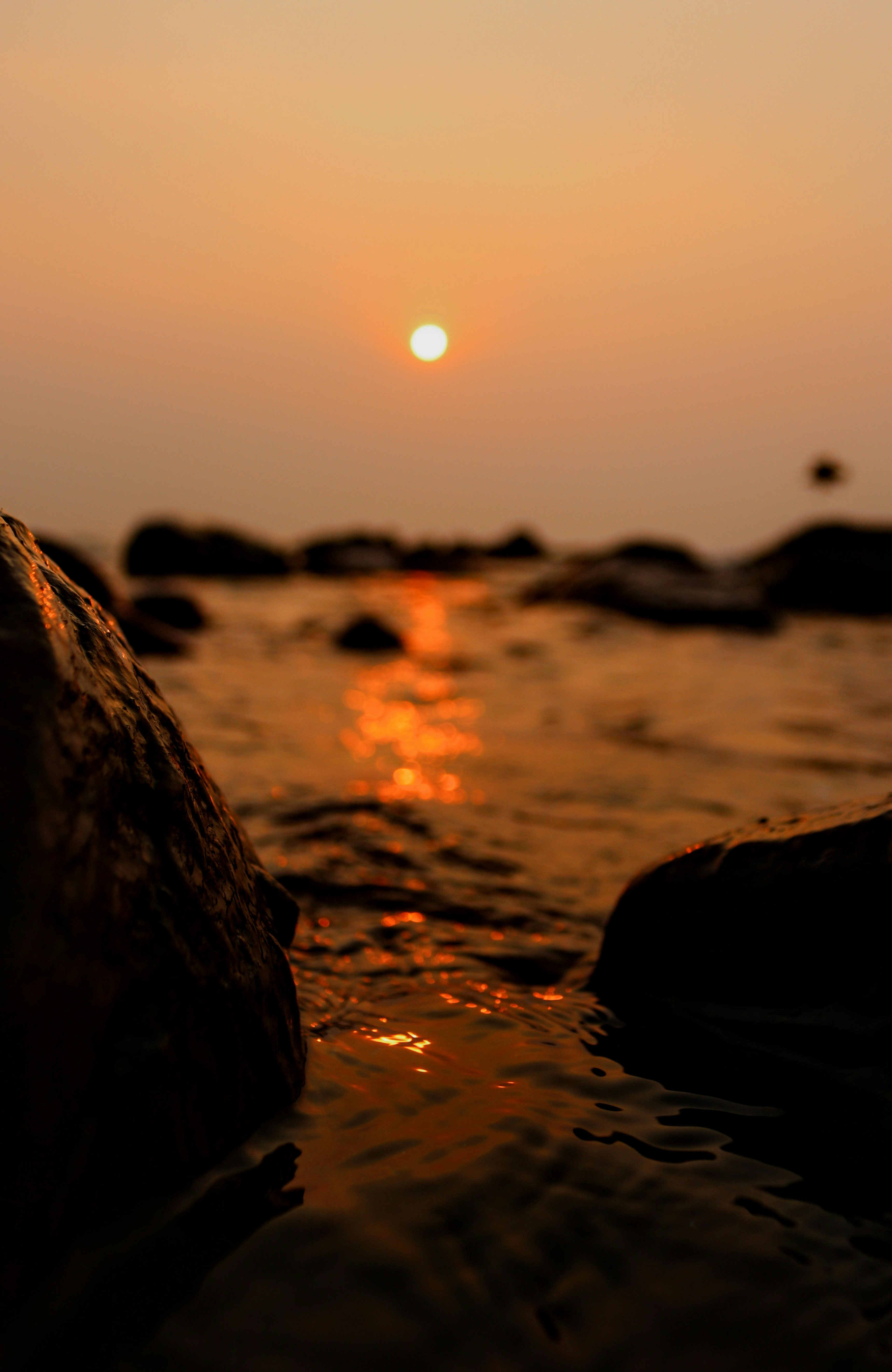Photo by vam5ii