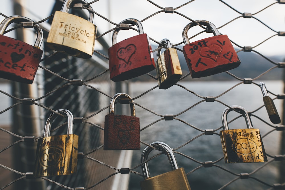 assorted-color padlocks on fence during daytime