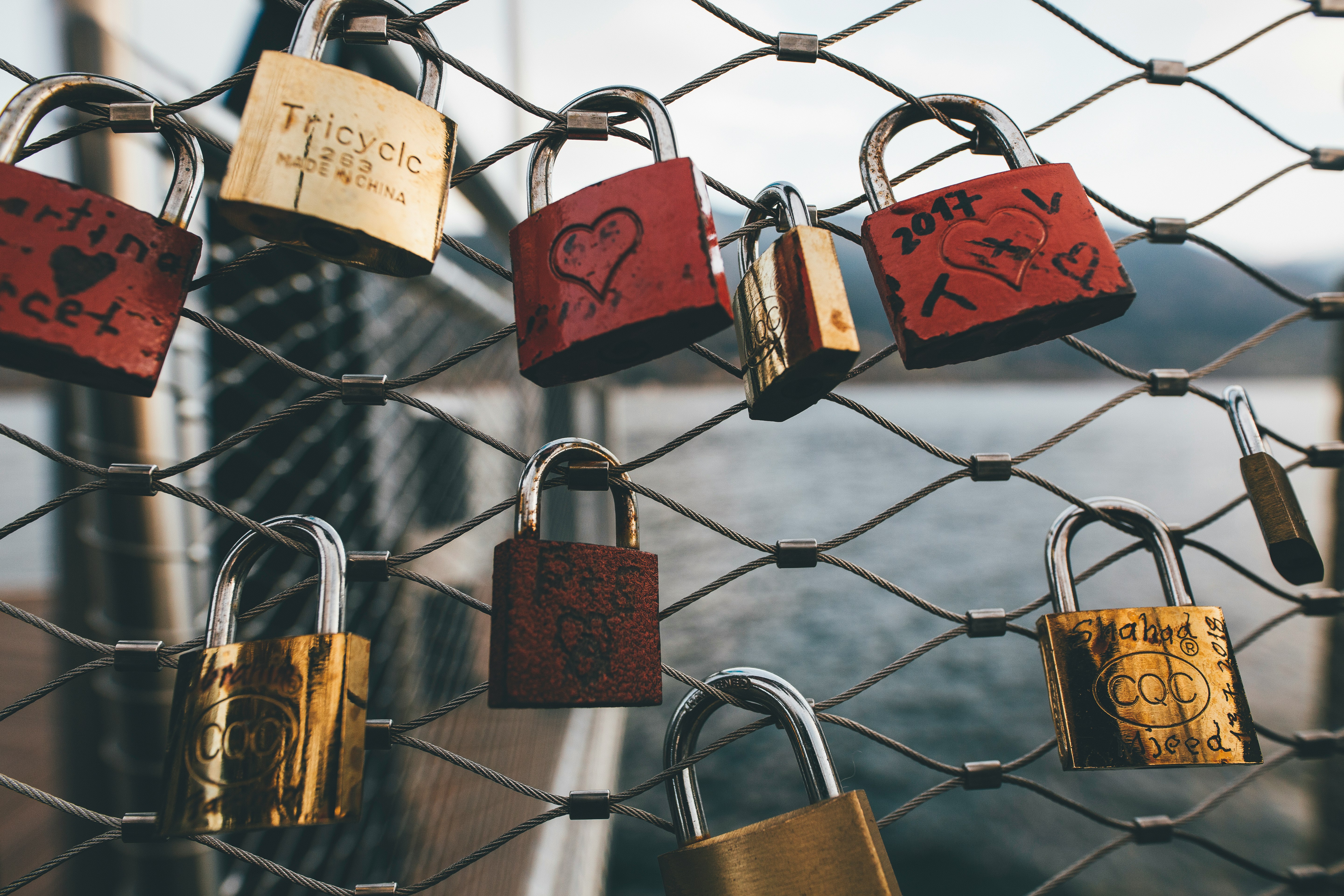 assorted-color padlocks on fence during daytime