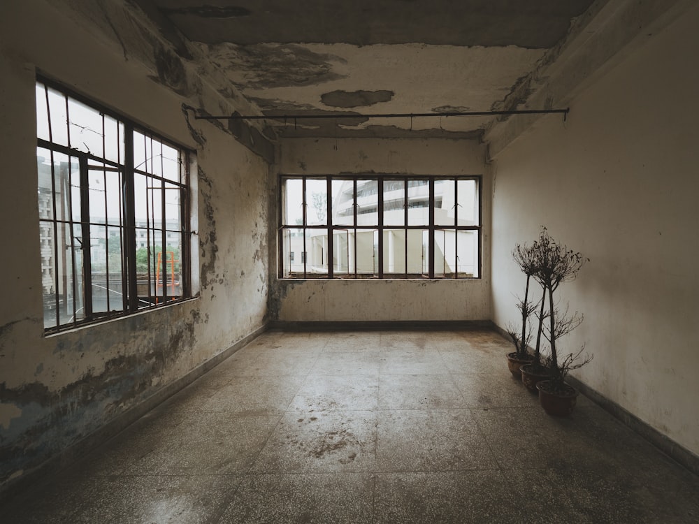 plants inside white building