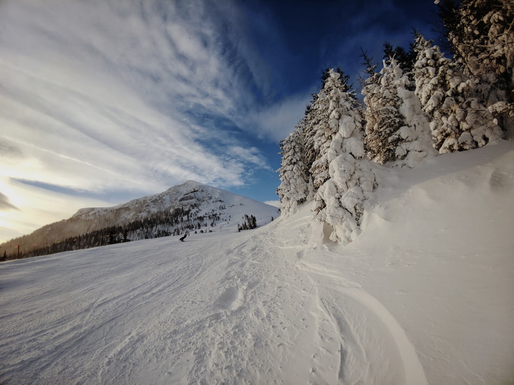 snow field during daytime