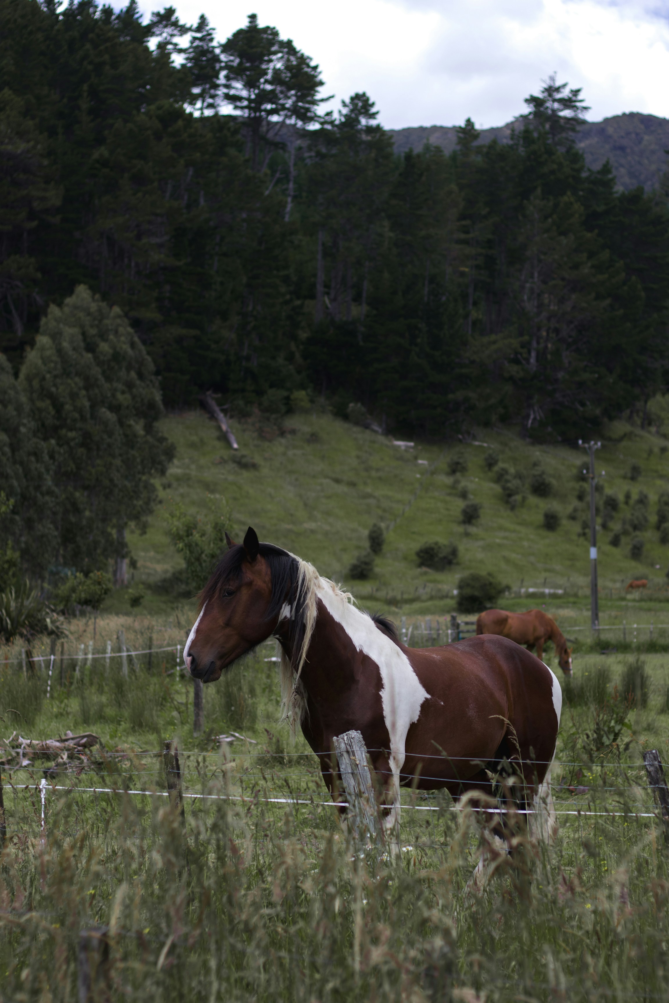 Photo by stellablomfield