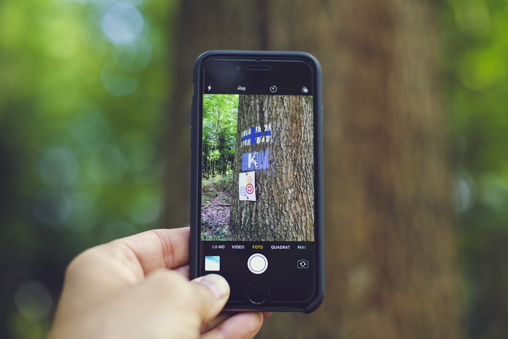 스페이스 그레이 iPhone 6을 사용하여 나무 사진을 찍는 사람