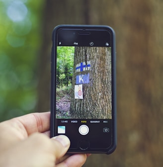 person taking photo of tree using space gray iPhone 6