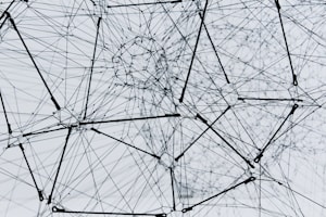 What is DFN (Data Filtering Networks)?