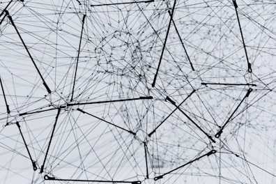 What is DFN (Data Filtering Networks)?