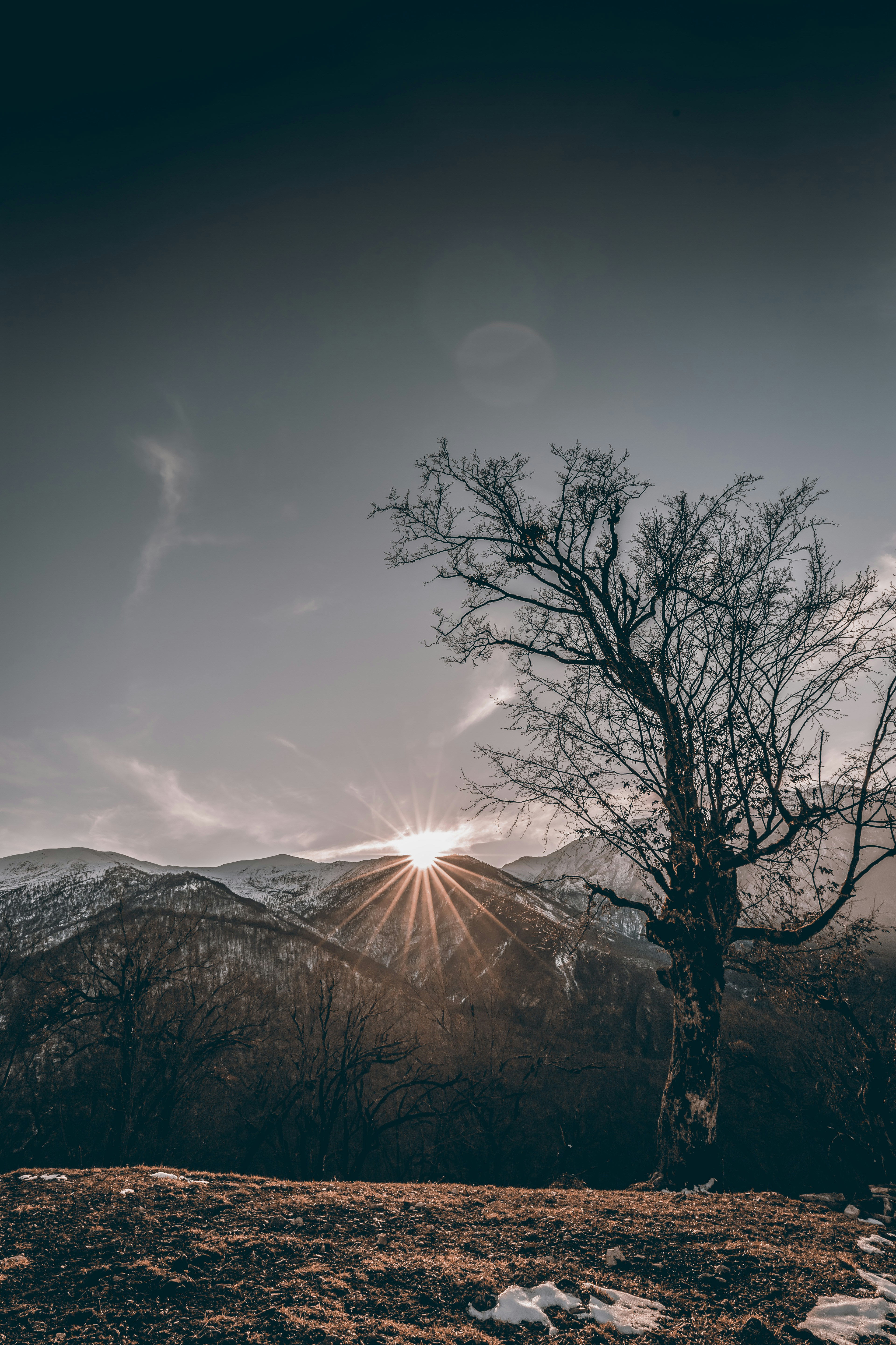 Photo by morteza_bach