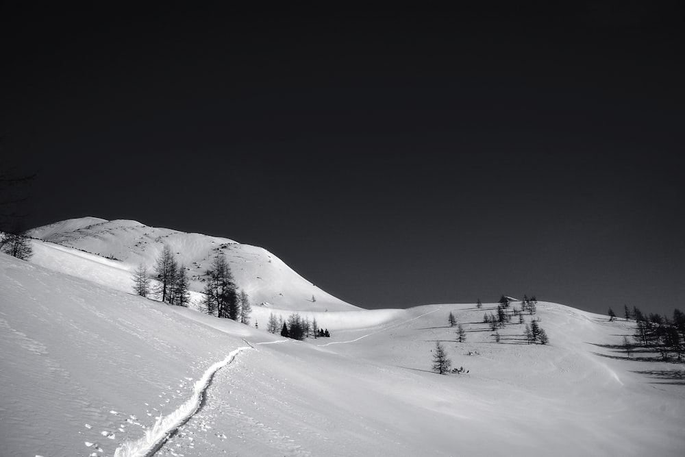 fotografia em tons de cinza do campo de neve